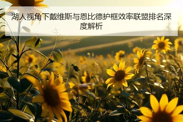 湖人视角下戴维斯与恩比德护框效率联盟排名深度解析