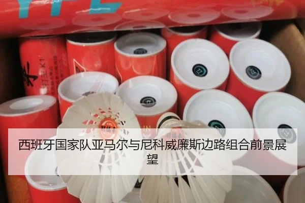 西班牙国家队亚马尔与尼科威廉斯边路组合前景展望