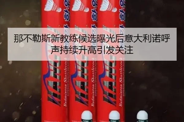那不勒斯新教练候选曝光后意大利诺呼声持续升高引发关注
