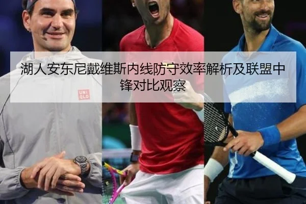 湖人安东尼戴维斯内线防守效率解析及联盟中锋对比观察