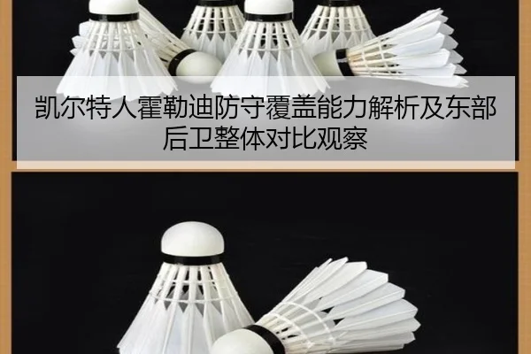凯尔特人霍勒迪防守覆盖能力解析及东部后卫整体对比观察
