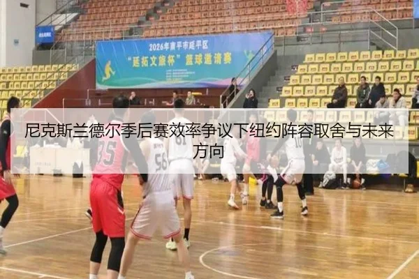 尼克斯兰德尔季后赛效率争议下纽约阵容取舍与未来方向