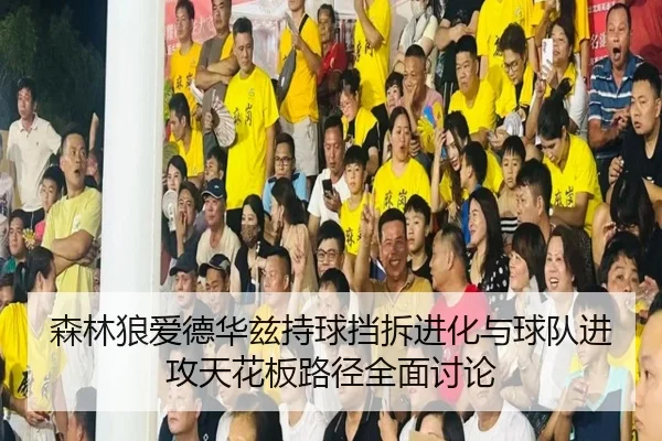 森林狼爱德华兹持球挡拆进化与球队进攻天花板路径全面讨论