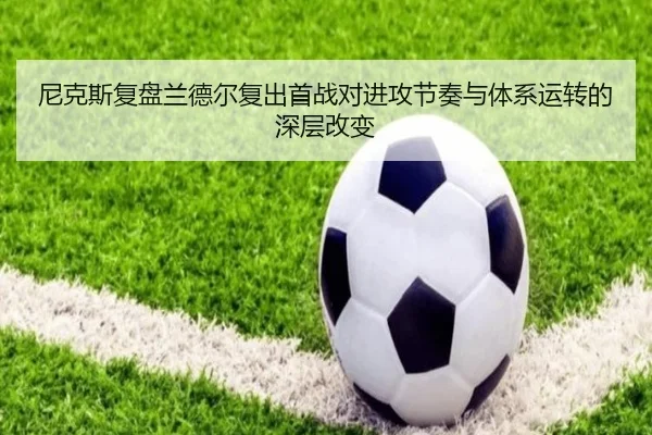 尼克斯复盘兰德尔复出首战对进攻节奏与体系运转的深层改变